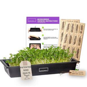 NWT 🏡 HAMAMA Microgreens Growing Kit - Sprouts Growing Kit, Sprouting Kit